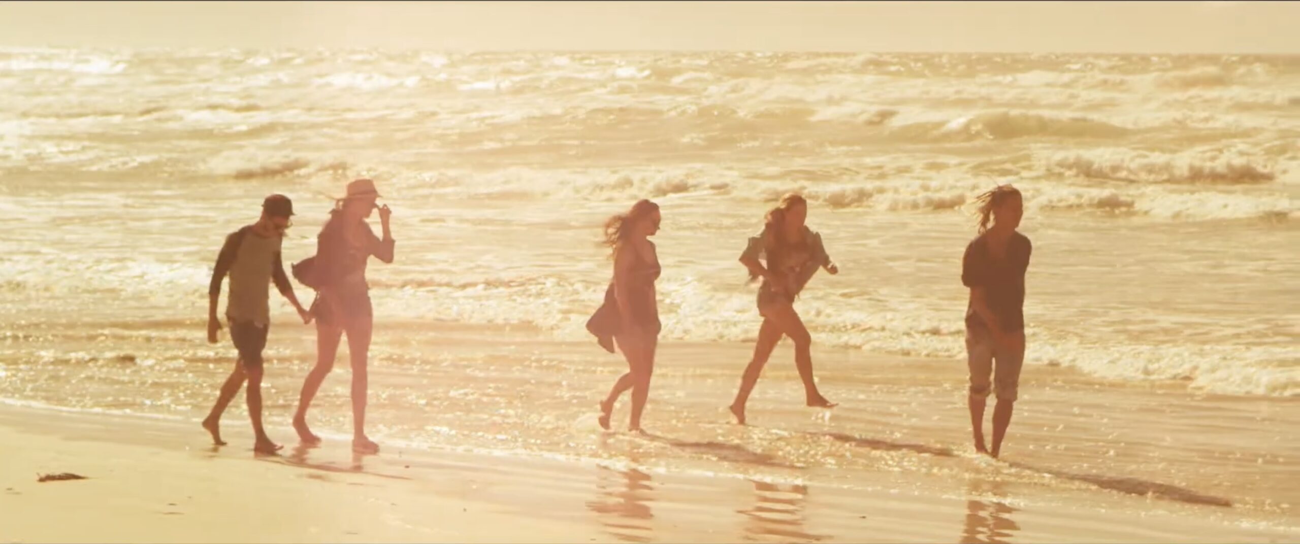 Roxy Commercial